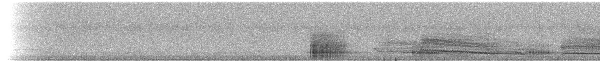 Southern Tree Hyrax - ML223905