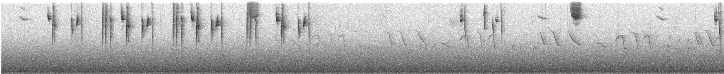 Tangara auréolé - ML223911461
