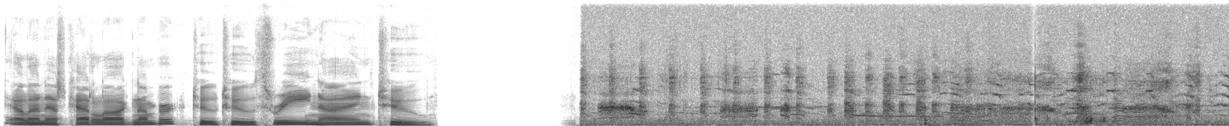 Snowy Egret - ML22392