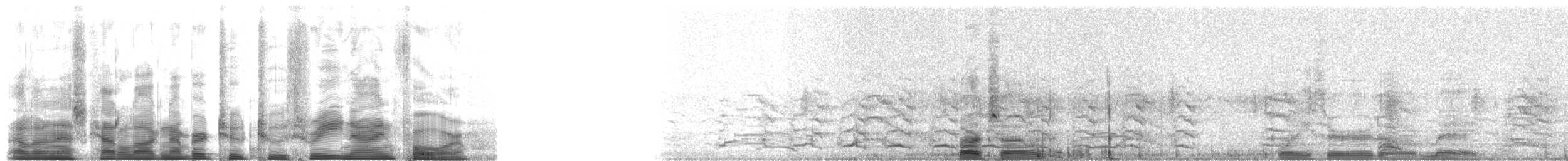 American Herring Gull - ML22394