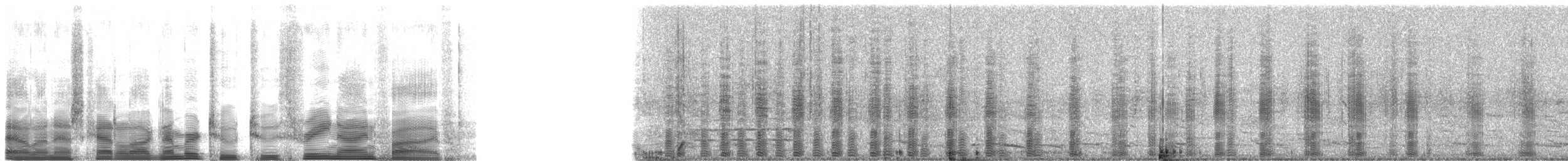 Snowy Egret - ML22395