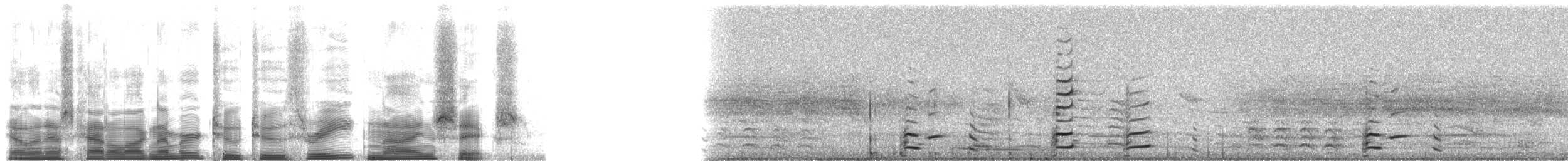 American Herring Gull - ML22396