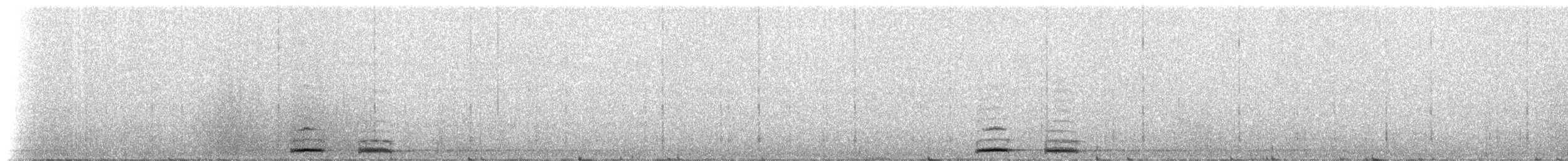 Кукушечья иглоногая сова - ML223962