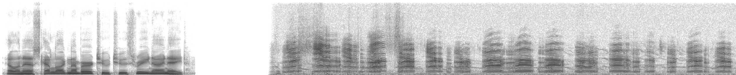 Glossy Ibis - ML22398