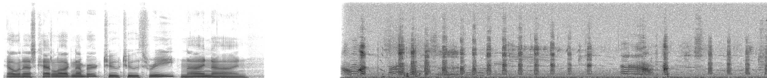 Snowy Egret - ML22399