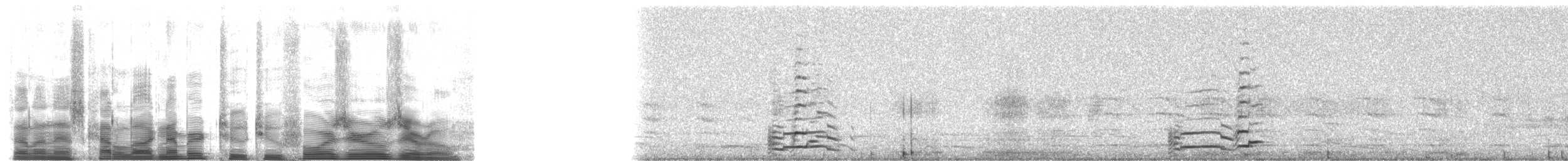 American Herring Gull - ML22400