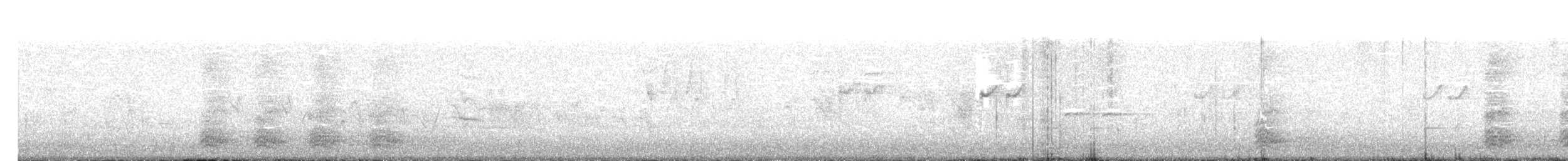 Solitary Sandpiper - ML224017451