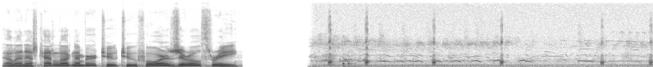 Black-crowned Night Heron (American) - ML22403