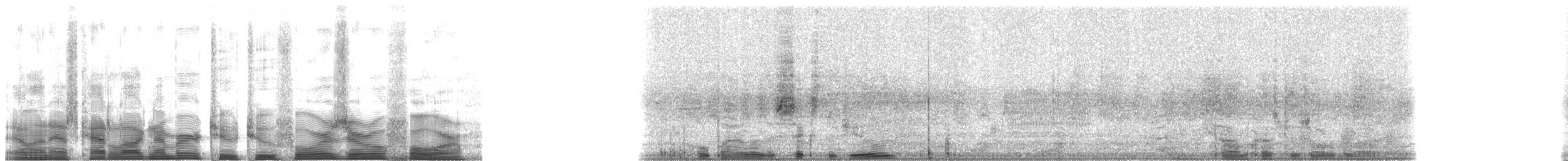 夜鷺(hoactli) - ML22404