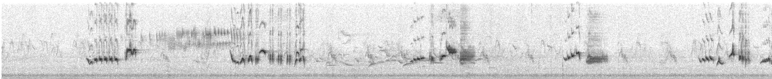 חמריה חלודת-זנב (צפונית) - ML224055041