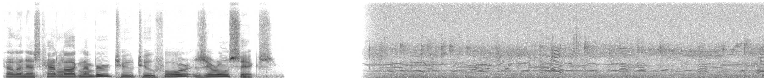 Snowy Egret - ML22406