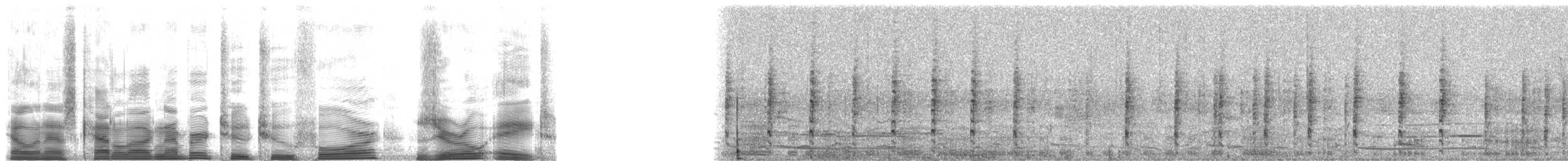 Snowy Egret - ML22408