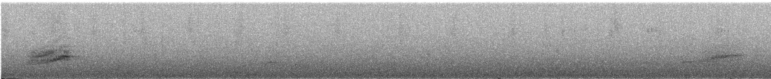 Дрізд-короткодзьоб сірий - ML224094471