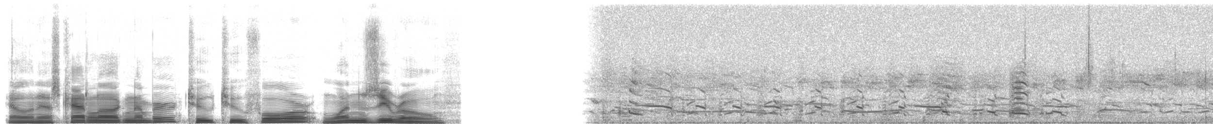 Snowy Egret - ML22410