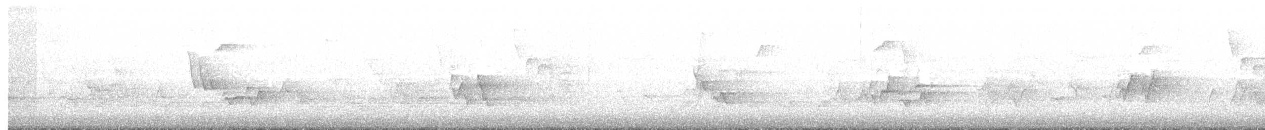 Red-eyed Vireo - ML224104481