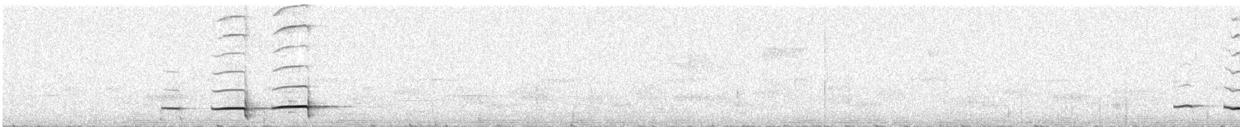 Grallaire de Przewalski - ML224114161