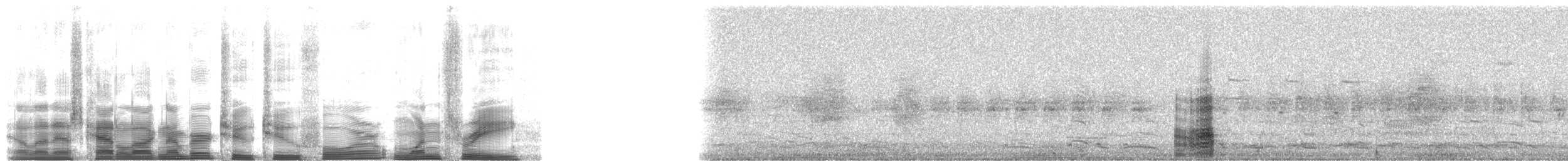 Glossy Ibis - ML22413