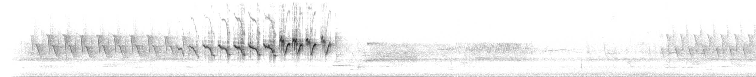 キヅタアメリカムシクイ（coronata） - ML224246231