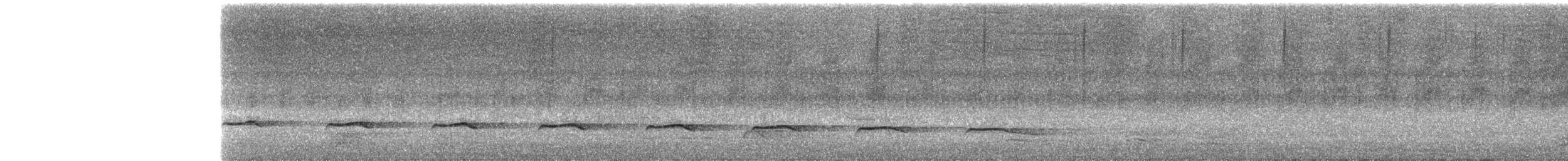 Sahul Brush Cuckoo - ML22428071