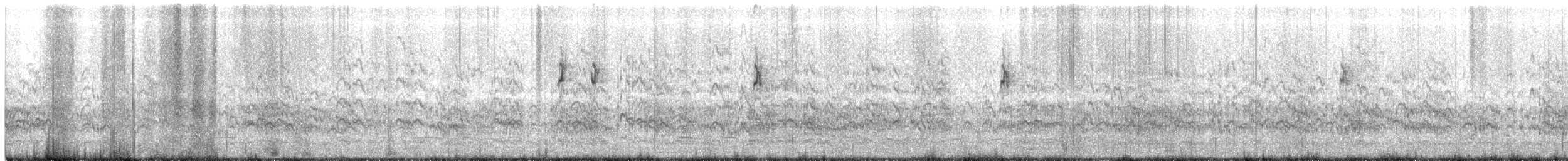 Elegant Tern - ML224326501