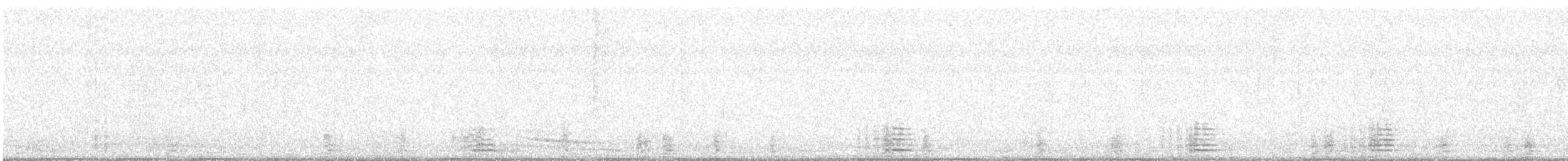 berneška tmavá (ssp. bernicla) - ML224330471