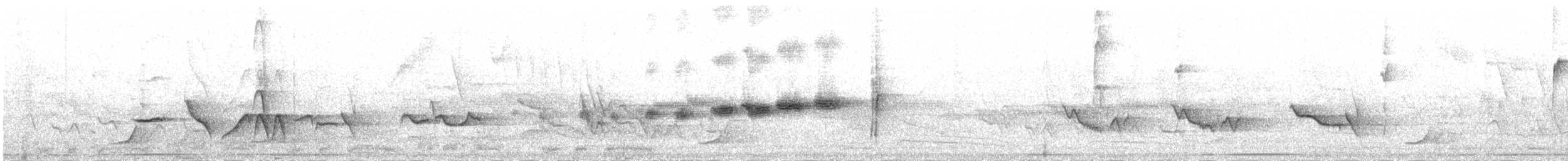 Troglodyte de Sclater (paucimaculatus) - ML224347611