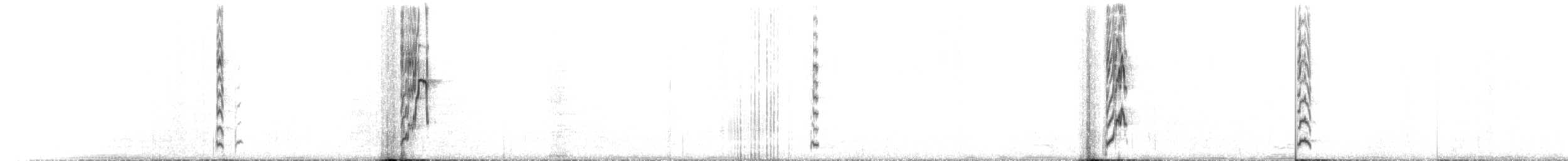 Kurzschopf-Dunkeltyrann - ML224417161