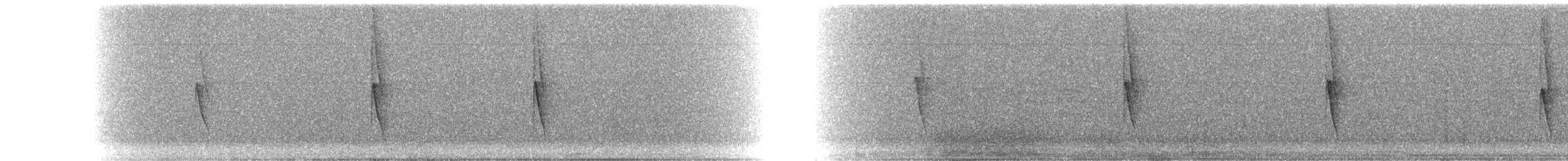 Серобрюхий колибри-отшельник - ML224426851