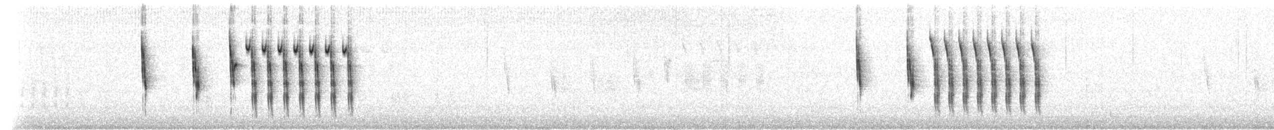 Sedge Wren - ML224466