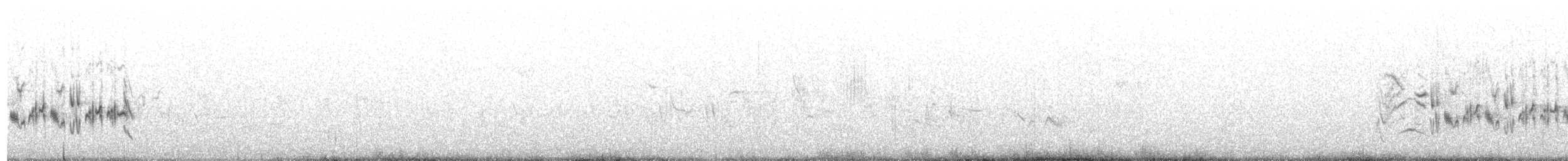 Balearengrasmücke - ML224481451