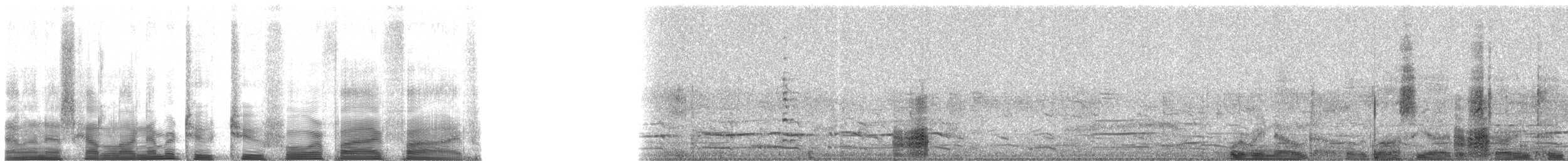 Glossy Ibis - ML22455