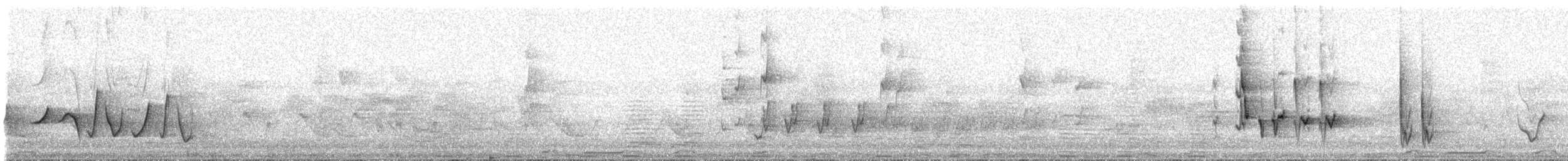 pták sp. - ML224599