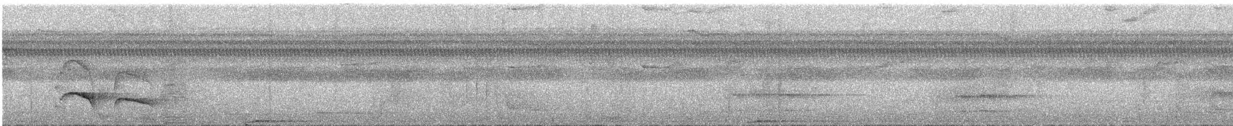 Ringed Antpipit - ML224684021