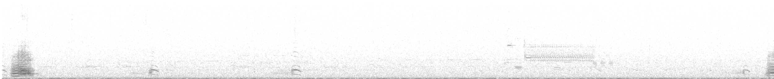 Antzara sp. (etxekoa) x Kanadako branta (hibridoa) - ML224684811