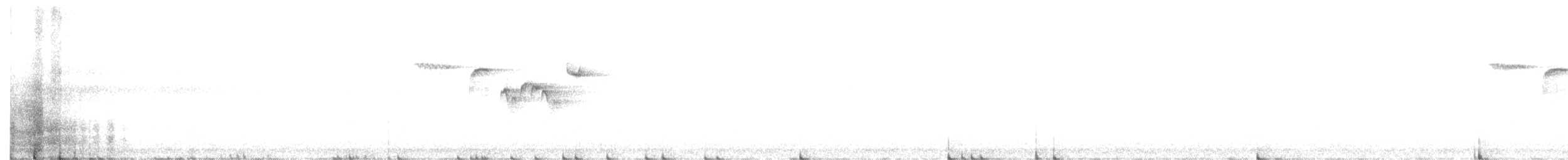 Brown Creeper - ML224745871