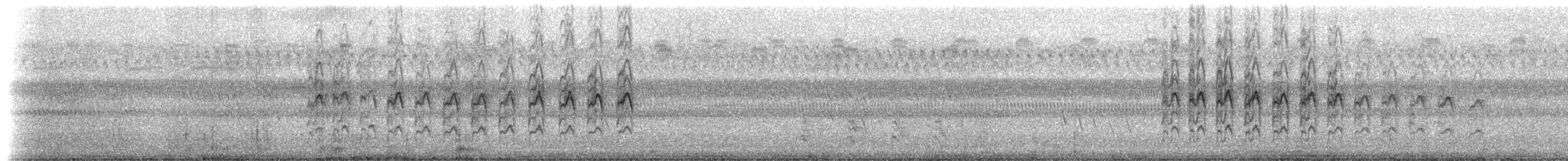 American Kestrel (Northern) - ML224777