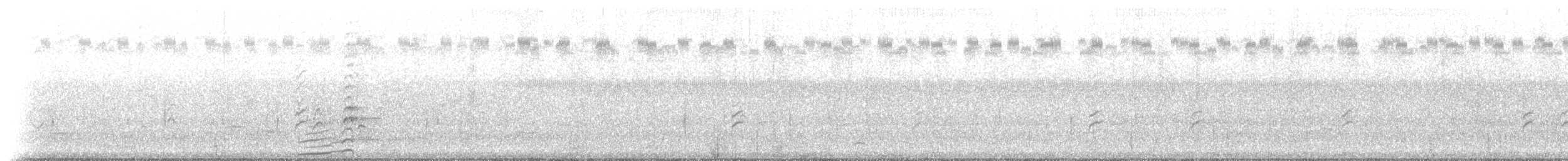 Common Gallinule (American) - ML224797