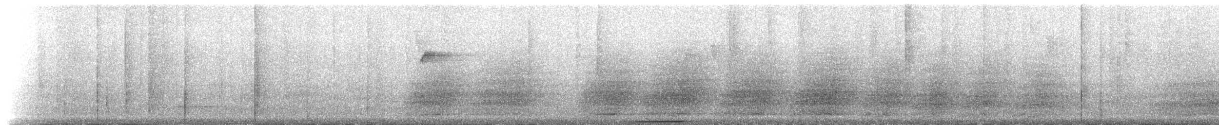 holubovití sp. - ML224803