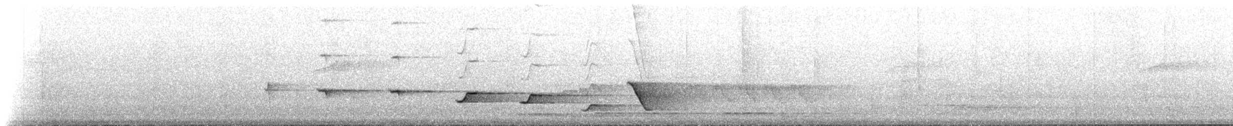 pták sp. - ML224804