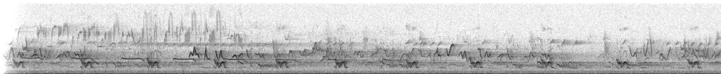 pták sp. - ML224805