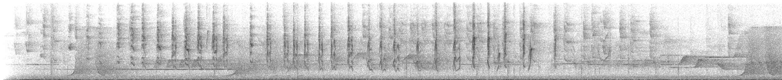 pták sp. - ML224807