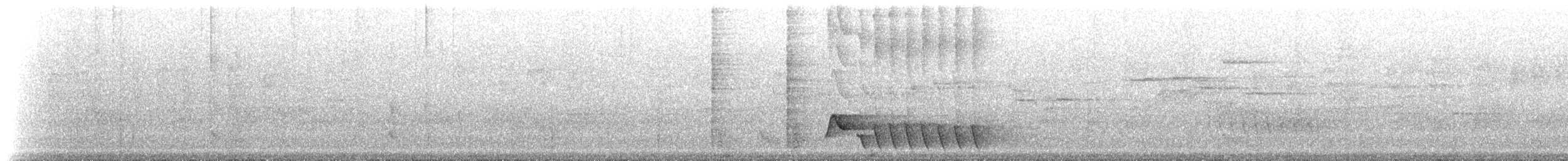 pták sp. - ML224808