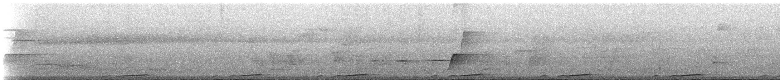 holub bažantí - ML224809