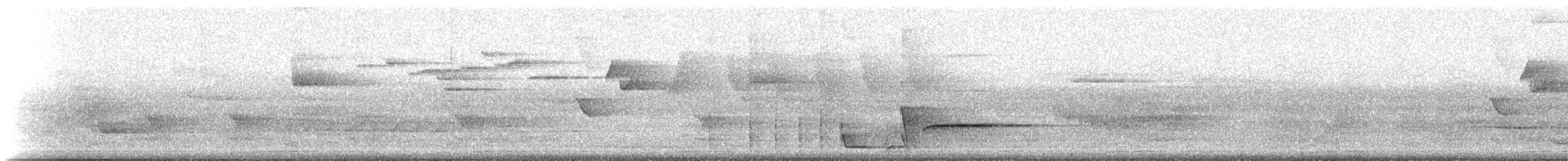 Bower's Shrikethrush - ML224811