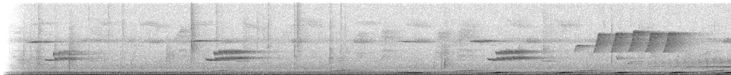 holubovití sp. - ML224813