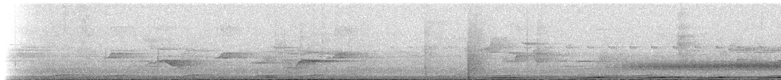 holubovití sp. - ML224814