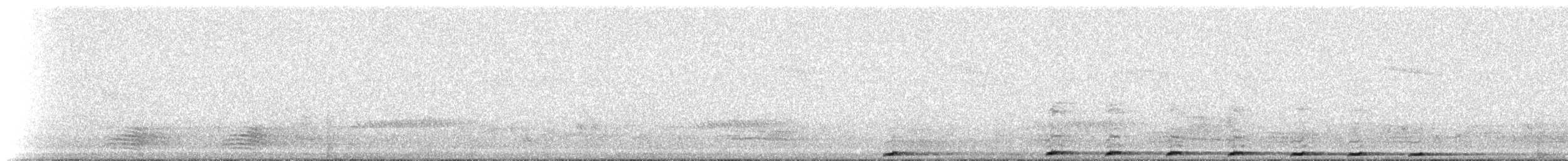 holubovití sp. - ML224818