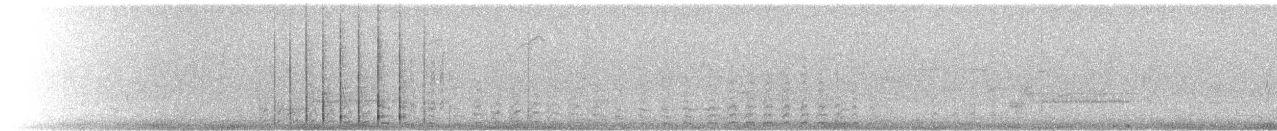holub skalní (domácí) - ML224823151
