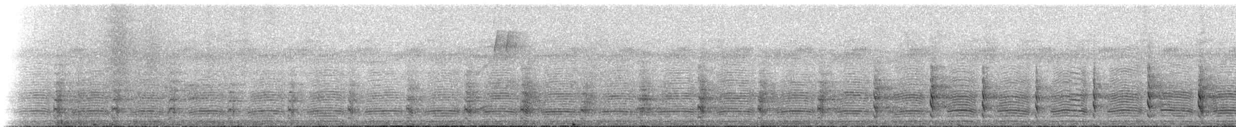 kakadu černý - ML224825