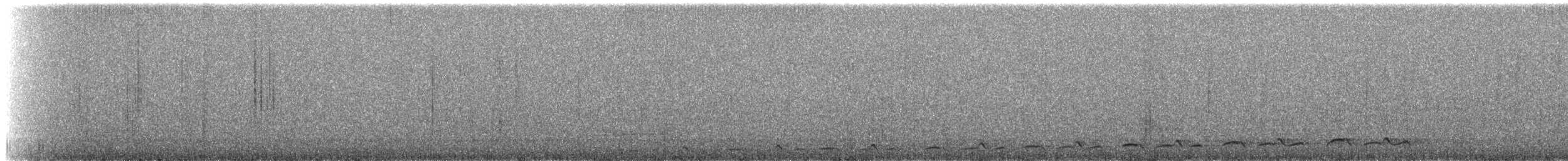 Lyre-tailed Nightjar - ML224833
